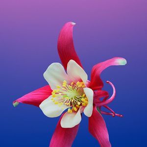 Meet your Posher, Mayra